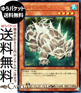 VYJ[h nChQh(EgA) LIMITED PACK GX IVXbh iLPG1j | ʃX^[   Eg A