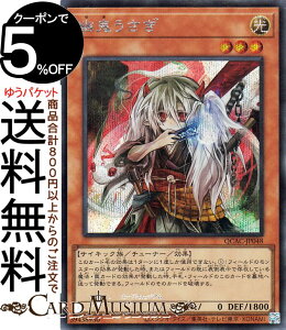 VYJ[h HS(V[NbgA) QUARTER CENTURY ART COLLECTIONiQCACj | `[i[EʃX^[  TCLbN