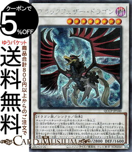 VYJ[h ubNtFU[EhS(V[NbgA) QUARTER CENTURY CHRONICLE sideFPRIDEiQCCPj | VNEʃX^[ ő hS V[Nbg A