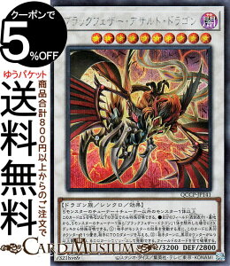 VYJ[h ubNtFU[EATgEhS(V[NbgA) QUARTER CENTURY CHRONICLE sideFPRIDEiQCCPj | VNEʃX^[ ő hS V[Nbg A