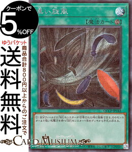 VYJ[h (V[NbgA) QUARTER CENTURY CHRONICLE sideFPRIDEiQCCPj |@ubNtFU[ i@ V[Nbg A