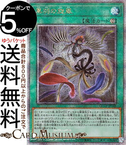 VYJ[h H̐(25th V[NbgA) QUARTER CENTURY CHRONICLE sideFPRIDEiQCCPj |@ubNtFU[ i@ 25th V[Nbg A