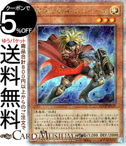 VYJ[h e̎ˎ JXp[(25th V[NbgA) QUARTER CENTURY CHRONICLE sideFPRIDEiQCCPj | ʃX^[   25th V[Nbg A