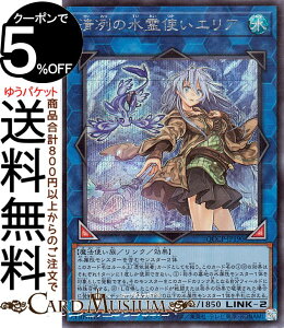 VYJ[h w̐gGA(V[NbgA) QUARTER CENTURY CHRONICLE sideFPRIDEiQCCPj | NEʃX^[  @g V[Nbg A