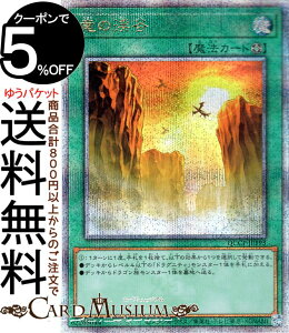 VYJ[h ̌kJ(25th V[NbgA) QUARTER CENTURY CHRONICLE sideFPRIDEiQCCPj | tB[h@ 25th V[Nbg A