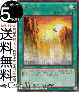 VYJ[h ̌kJ(V[NbgA) QUARTER CENTURY CHRONICLE sideFPRIDEiQCCPj | tB[h@ V[Nbg A