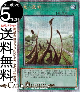 VYJ[h ̗_(25th V[NbgA) QUARTER CENTURY CHRONICLE sideFPRIDEiQCCPj | ʏ햂@ 25th V[Nbg A