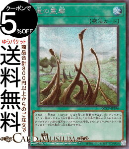 VYJ[h ̗_(V[NbgA) QUARTER CENTURY CHRONICLE sideFPRIDEiQCCPj | ʏ햂@ V[Nbg A