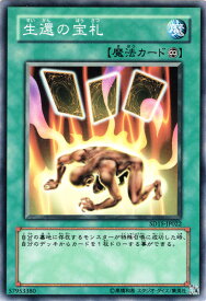 遊戯王 禁止 カード