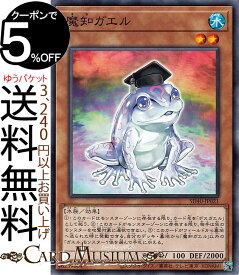 楽天市場 デスガエルの通販