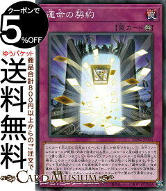 楽天市場 遊戯王 スリーブ 皇の鍵の通販