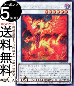 VYJ[h bhECWOEhS(V[NbgA) ҂̌ۓiSD46j | VNEʃX^[ ő hS V[Nbg A