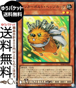 VYJ[h AJ[{gEwbWzbO(X[p[A) p[EIuEtF[YiSD48j |@ ʃX^[ n @B X[p[ A