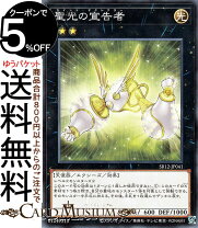 楽天市場】遊戯王 ランク2の通販