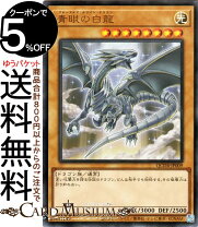 楽天市場】スリーブ ブルーアイズホワイトドラゴンの通販