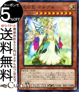 VYJ[h ̉ }f(m[}p) SECRET UTILITY BOXiSUB1j | V[Nbg[eBeB[{bNX WFlCh ʃX^[  A