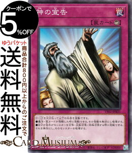 �V�Y���J�[�h �_�̐鍐(�m�[�}��) TACTICAL-TRY DECK �ޖ��V�g�G�N�\�V�X�^�[�iTT02�j | �J�E���^�[� �m�[�}��