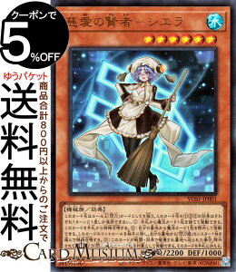 VYJ[h ̌ҁ|VG(EgA) VYOCG STORIESiYOS1j | M ʃX^[  @B Eg A