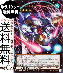 �V�Y���J�[�h No�D101 S�EH�EArk Knight�|�\�E���E�A�T�C����(�E���g�����A(�I�[�o�[�t���[��)) UTILITY SELECTION �iUT01�j