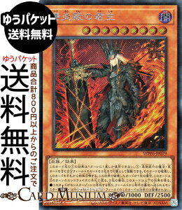 �V�Y���J�[�h �z���a�̌N��(�V�[�N���b�g���A) WORLD PREMIERE PACK 2025�iWPP6�j |�@ ���ʃ����X�^�[ �ő��� ���� �V�[�N���b�g ���A