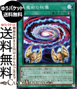 �V�Y���J�[�h �����p�̔�V(�X�[�p�[���A) ORIGINAL ARTWORK COLLECTION�iYAC1�j |�@ ���U���@�@ �X�[�p�[ ���A