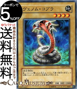 �V�Y���J�[�h ���F�m���E�R�u��(�m�[�}��) TACTICAL EVOLUTIONTAEV Yugioh! | �V�Y�� �J�[�h �^�N�e�B�J���E�G�{�����[�V���� �ʏ탂���X�^�[ �n���� ঒��ޑ�