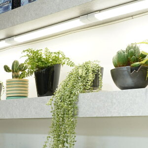 BARREL SHELF GROW SLIM A琬Cg LED ^X A\ 琬pƖ F ϗtA A ͔|