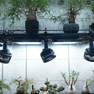 BARREL Clamp lamp socket Cg\Pbg Nv E26 A琬LED Cg fXNX^hBCL-100