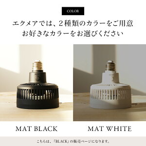 BARREL AECHMEA (�G�N���A) ���^�����@ �A���琬�p