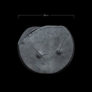 �A�ؔ� �~�͔� �C�u�V �M�y�� ���ݎR���� �y �^�C�R�^ 4�� �z