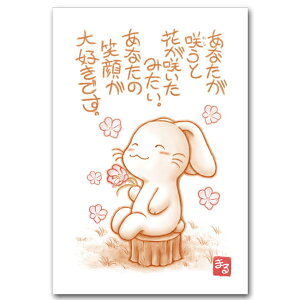 NKLmalluEbZ[W|XgJ[hu炤E炤v