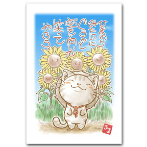 NKLmalluEbZ[W|XgJ[huЂ܂݂Ɂv