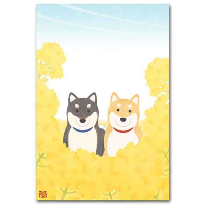 楽天市場 やさしいイラスト 菜の花と柴犬 犬の絵葉書 ポストカードと和雑貨の和道楽