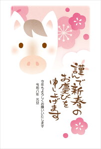 ߘa8N(2026N)p ߔN pbNN tJ[N(3) TH631