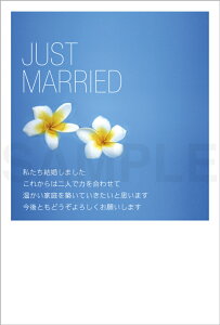 ͂|XgJ[h 4(Xւ͂)ʂɕԃvA 73019