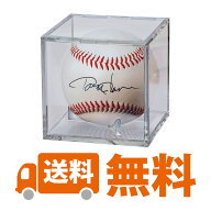 【送料無料！】【ウルトラプロ UltraPro 収集用品】サインボールケース UVカット仕様 (#81528) UV Protec…