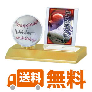 野球 ボール カードの人気商品 通販 価格比較 価格 Com