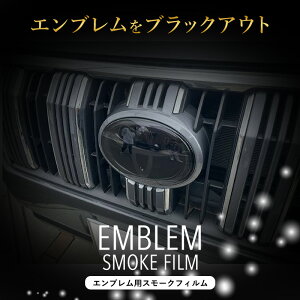 N vh hN[U[ 150n Gu X[NtB _[NX[N ߗ25 JX^ PPF ԎpJbg А݌v IWi