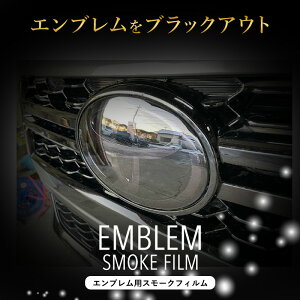 yԌ10%OFFN[|zzz nCbNX Gu X[NtB GUN125n _[NX[N ߗ25 JX^ PPF ԎʃJbg А݌v