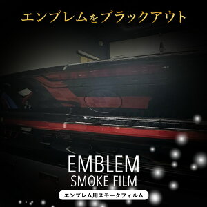 yԌ10%OFFN[|zzz y`Ozg^ vEX 60n PRIUS AGu X[NtB _[NX[N ȏC@\ JX^ PPF ԎpJbg А݌v