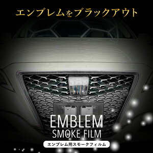 yԌ10%OFFN[|zzz NE 220n  AX[g Gu X[NtB JX^ PPF ѐ  ubNAEg TOYOTA g^ veNV ԎʃJbg