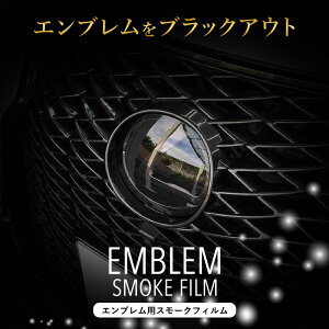 yԌ10%OFFN[|zzz NTX RX Gu X[NtB _[NX[N AGL20^ ȏC@\ JX^ PPF ԎpJbg А݌v