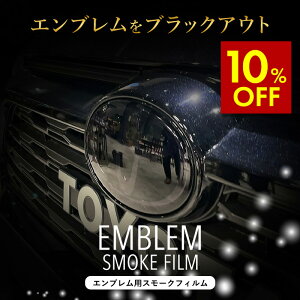 yԌ10%OFFN[|zzz RAV4 50n Gu X[NtB _[NX[N Ztq[O JX^ PPF ԎpJbg А݌v