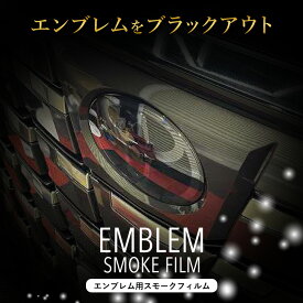 アルファード ヴェルファイア 40系 エンブレム スモークフィルム カスタム PPF 飛び石 傷 ブラックアウト 車種別カット済
