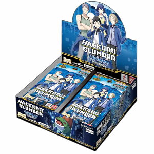 u[X^[pbN HACKERS' SLUMBER@6BOXZbgyfWJ[hQ[z