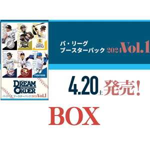 pE[O u[X^[pbN2024 Vol.1@10BOXZbgyv싅J[hQ[ DREAM ORDERz