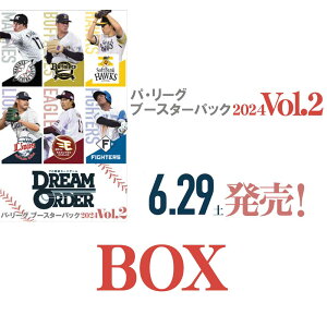pE[O u[X^[pbN2024 Vol.2@10BOXZbgy v싅J[hQ[ DREAM ORDERz