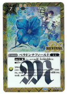 yogXsbcz(BSC44) xhtB[h(SECRET)(C)(BSC44-RV011)@
