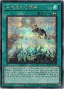 yVYz╨̎엳(S)(QCCP-JP197)V[NbgA