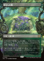 楽天市場】墓掘りの檻 foilの通販 墓掘りの檻FOIL 2枚セット secret lair